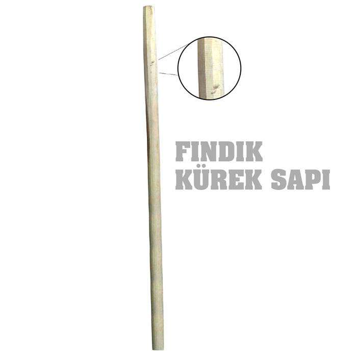 KÜREK SAPI FINDIK